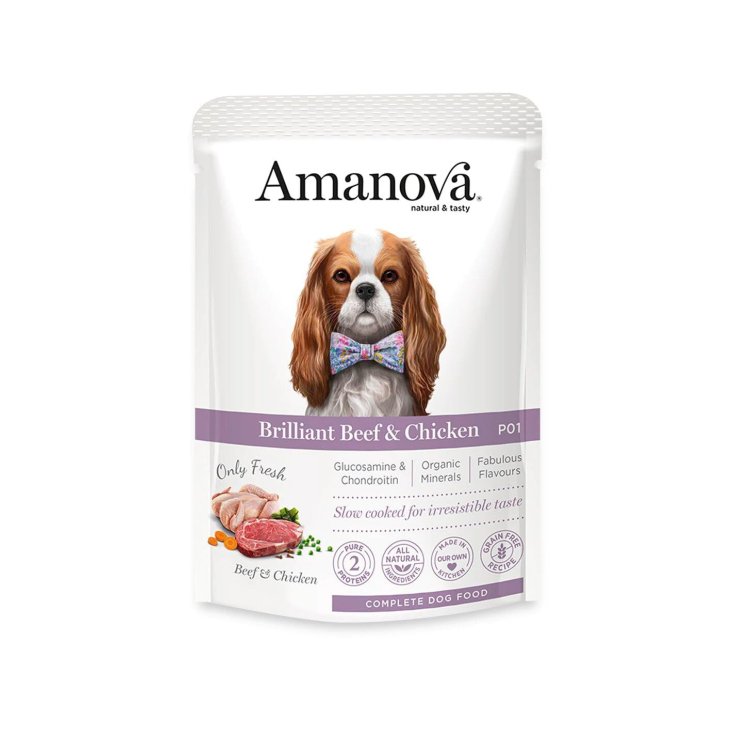 AM DOG WET EXQUIS CHK 100G