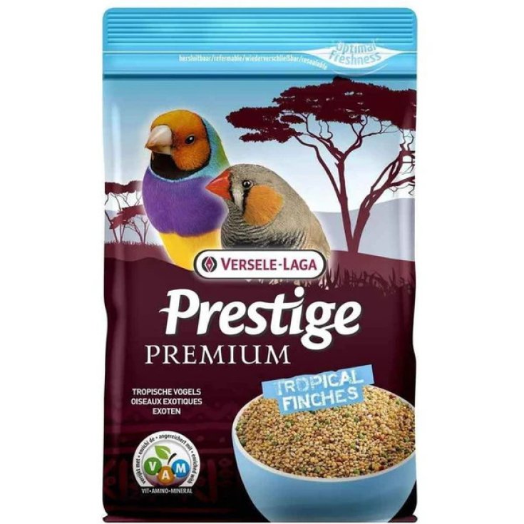 ESOTICI PREMIUM 800 G