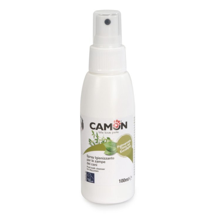 SHAMPOO A SECCO 200ML GATTI