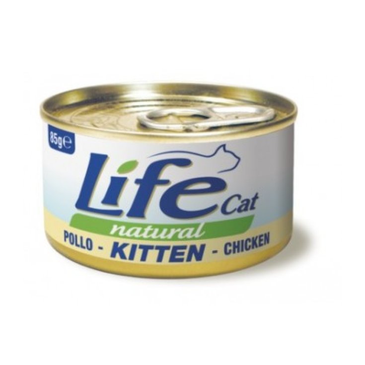 KITTEN POL 85G