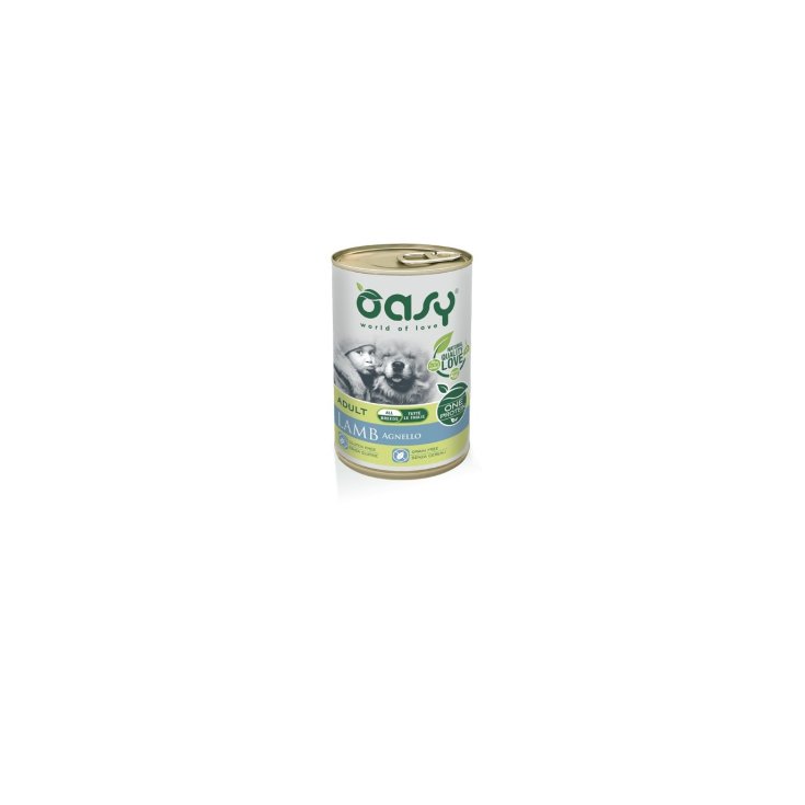 OASY WET DOG EIN LAMM 400G