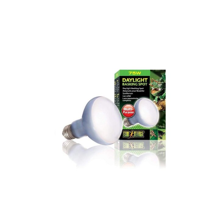 LAMPE R20/75W SUN GLO PT 2132