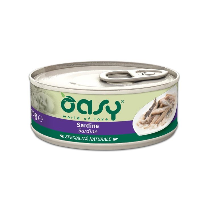 OASY WET CAT SARDINE 70G MILCH