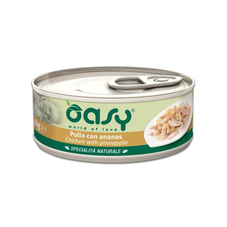 OASY WET CAT HUHN/ANANAS 70G