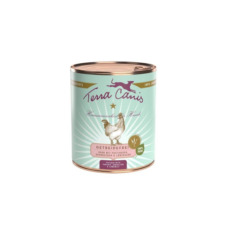 TERRA CANIS GETREIDEFREIES HUHN 800G