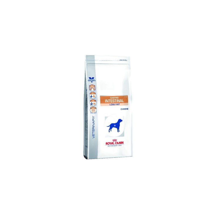 VETERINÄR DC DRY GASTR NIEDRIG 12