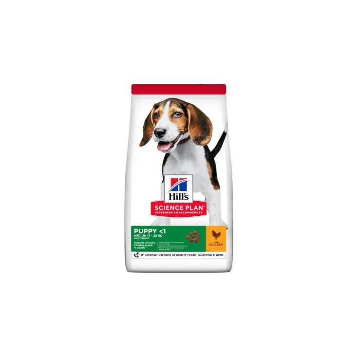 WELPE CANINE 2,5 KG HUHN