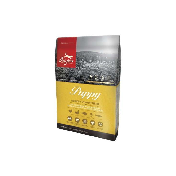 ORIJEN HUND - WELPE 6 KG