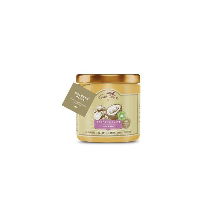 TERRA CANIS GOLDENE PASTA 250ML