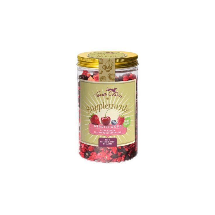 TERRA CANIS BEERENFOOD 50G