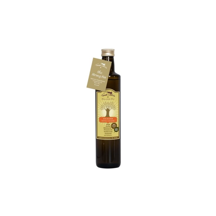 TERRA CANIS GOLDVENENÖL 250ML