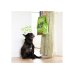 E&C DOG ADULT D LAMM 700G