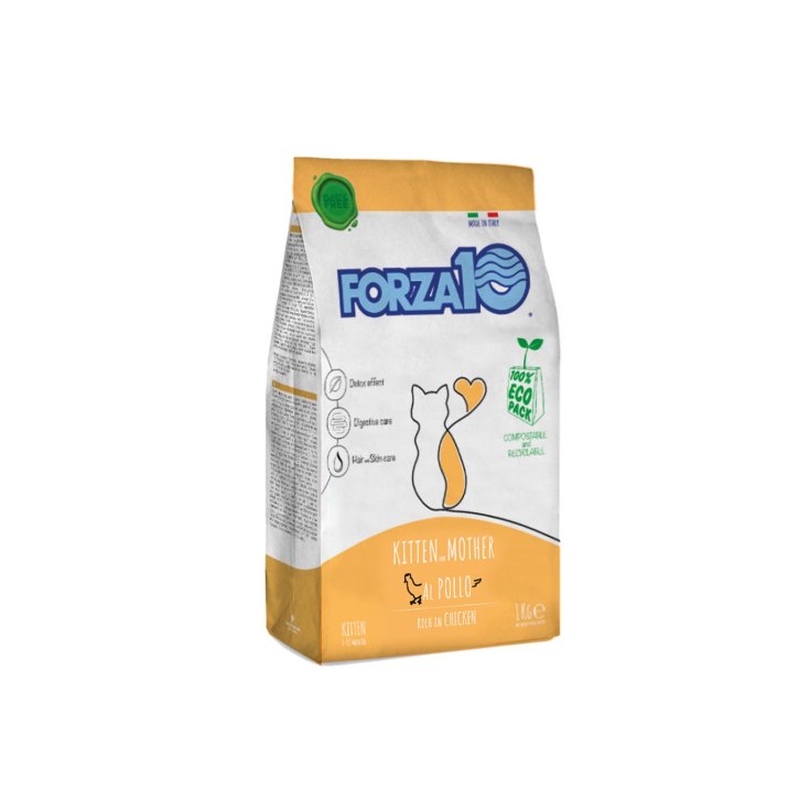 FORZA10 WARTUNGSGAT-KIT POL 1KG