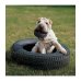 KONG EXTREME REIFEN MITTEL/GROSS