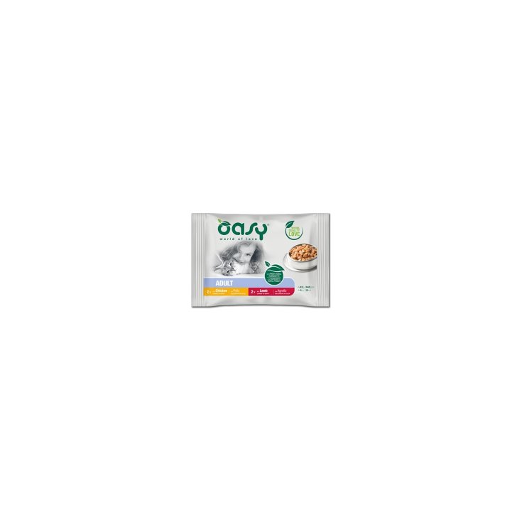 OASY WET CAT BOCCONC AD FLEISCH4P