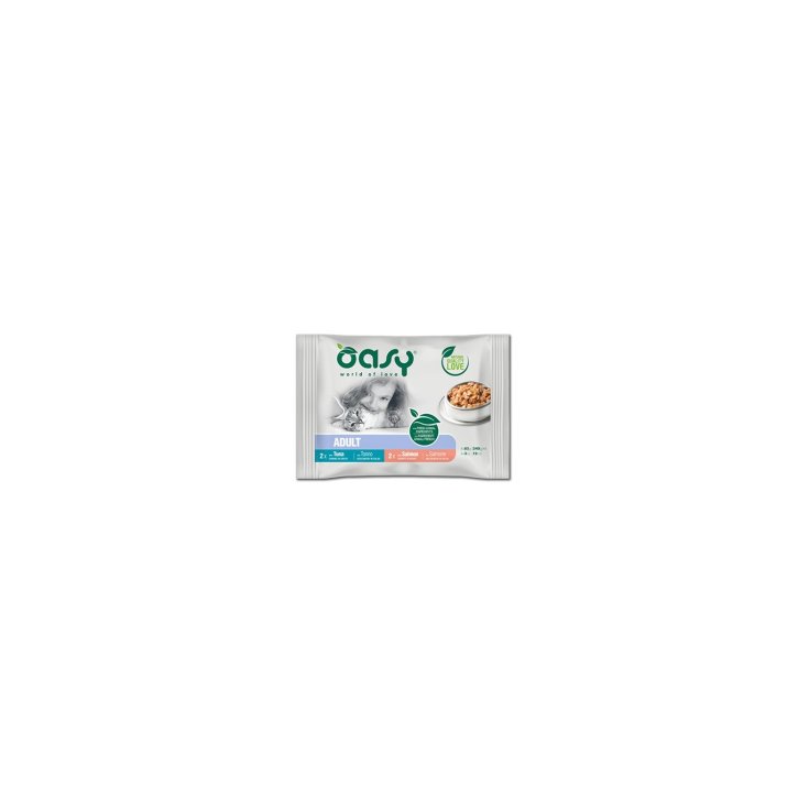 OASY WET CAT MOUTH CONC AD FISH4P