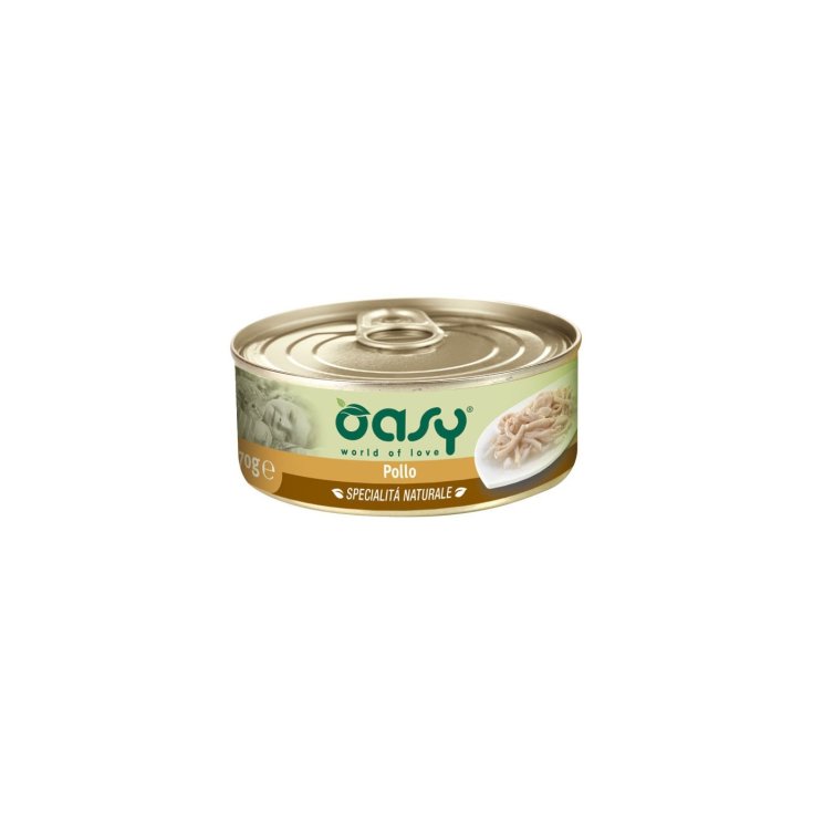 OASY WET CAT HUHN 70G