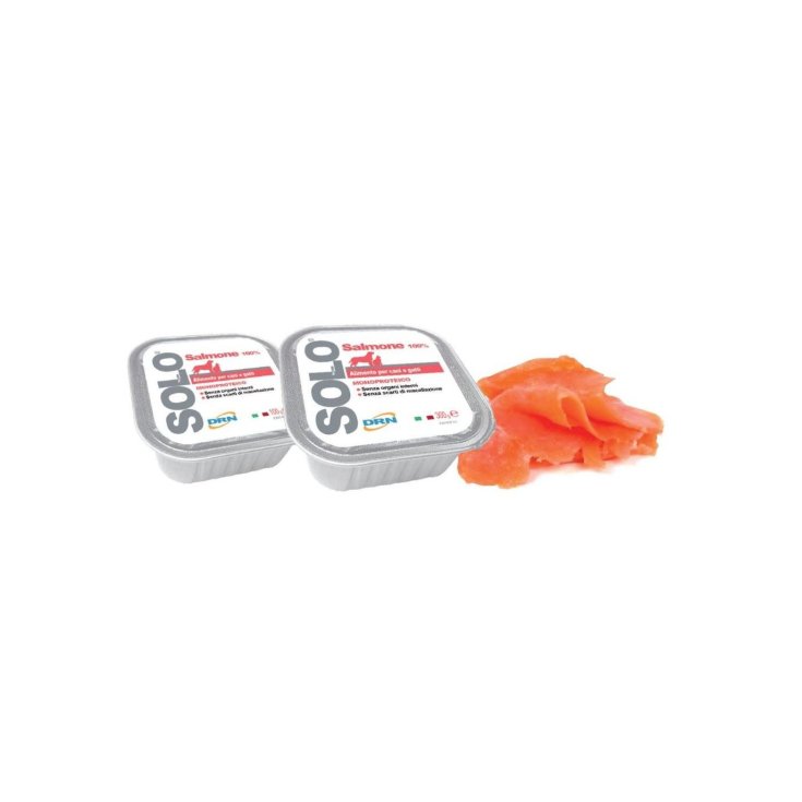 Nur Lachs 100g