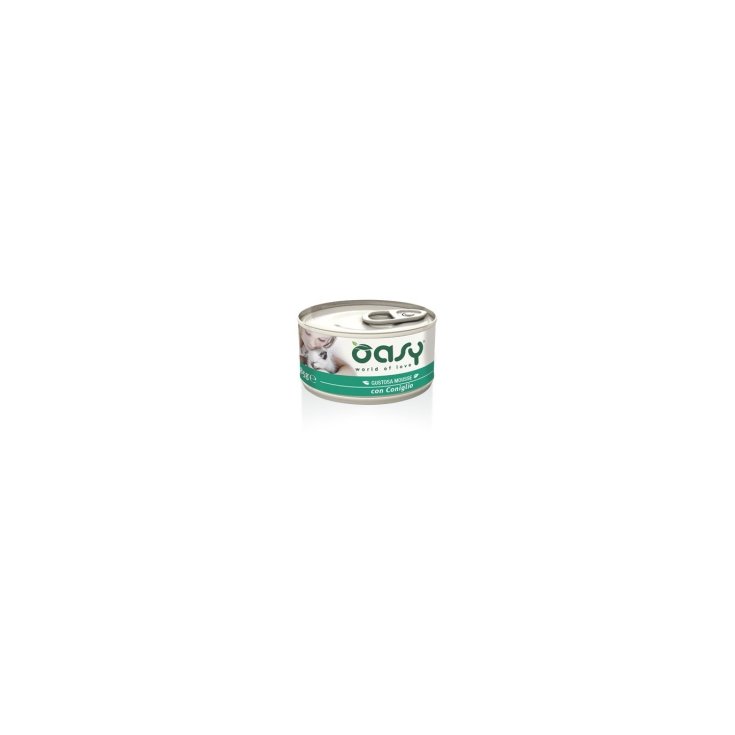 OASY WET CAT MOUSSE MIT KANINCHEN