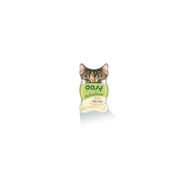 OASY WET CAT SOUFF POL/EI