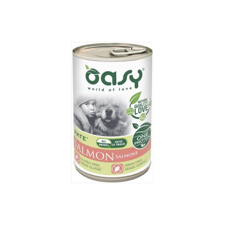 OASY WET DOG EIN LACHS 400G