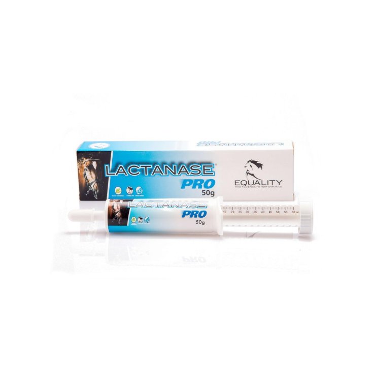 Lactanase Pro Oral Paste Spritze für Sportler Pferd 50g