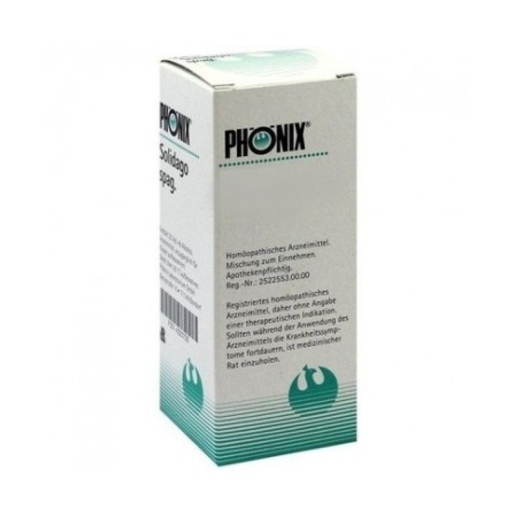 Phonix Graphites 30lm Tropfen Homöopathisches Mittel 10ml