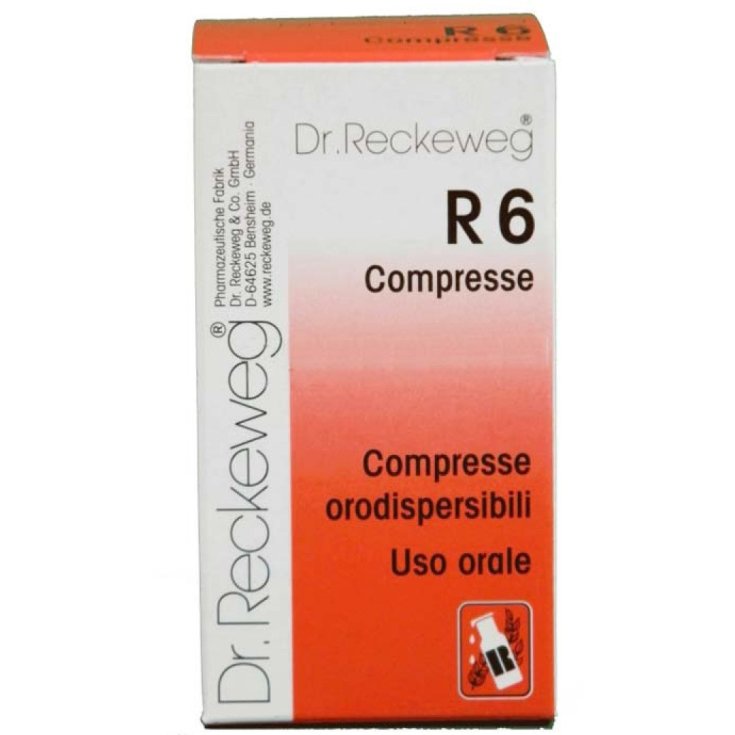 Dr. Reckeweg R6 Homöopathisches Mittel 100 Tabletten à 0,1 g