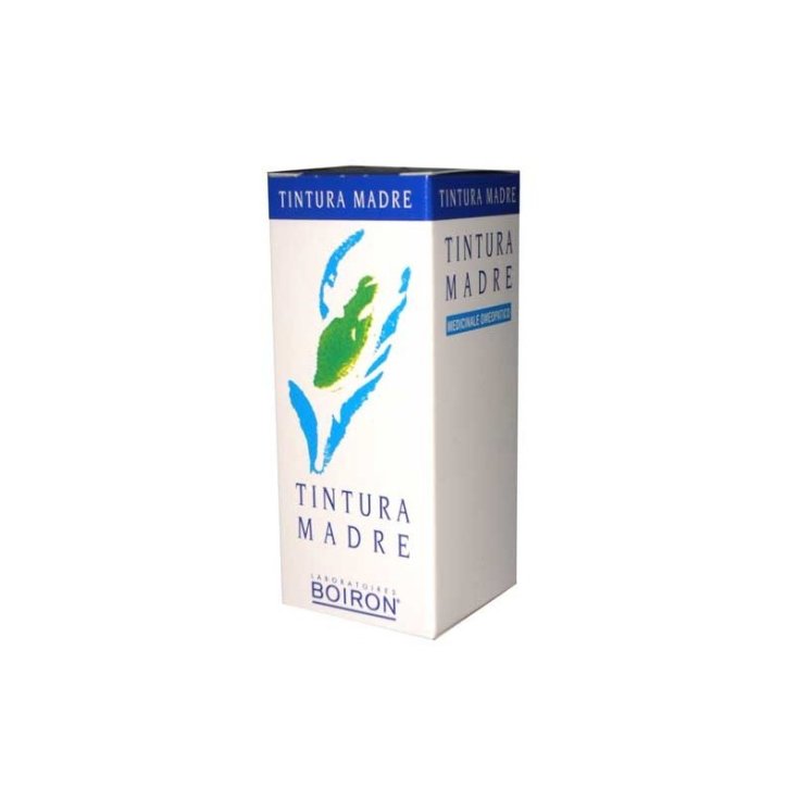 Cemon-Boiron Ginkgo Biloba Urtinktur 30ml