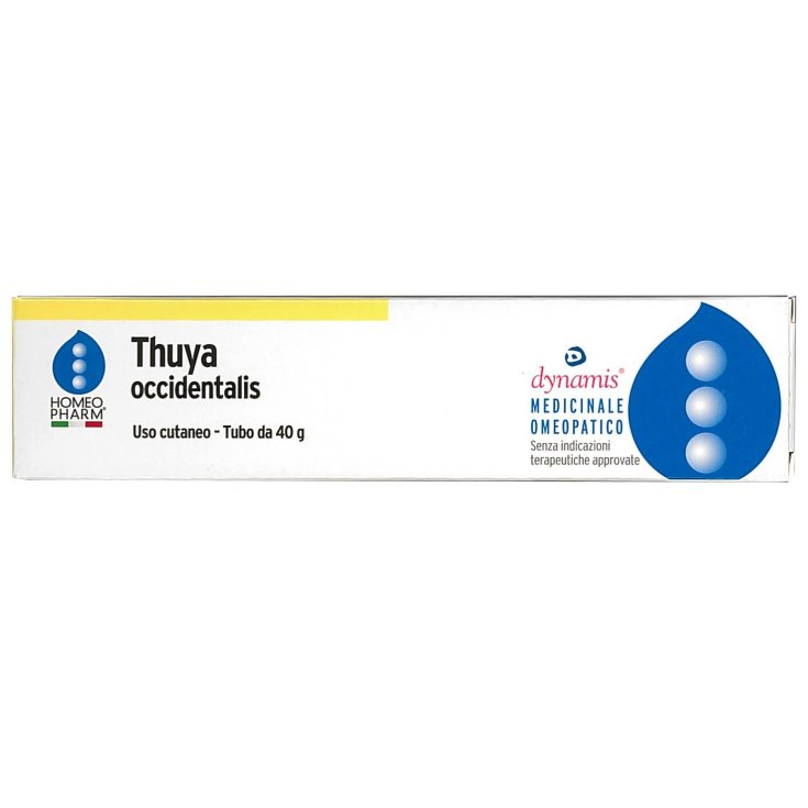 Homeopharm Dynamis Thuya Occidentalis Salbe 40 g