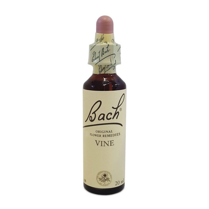 Bach Center Blütenessenz Weinrebe 20ml