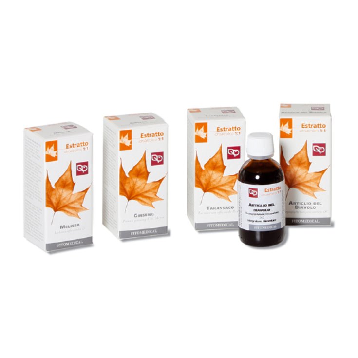 Selerbe Ginseng-Flüssigkeitsextrakt 1kg