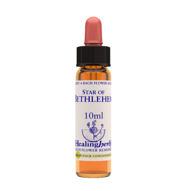 Stern von Bethlehem Essenz 10ml