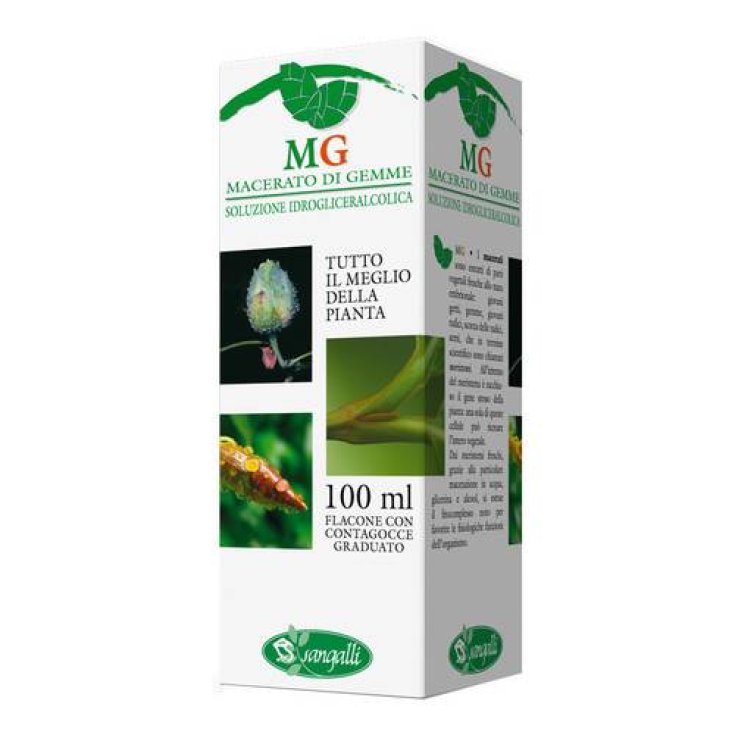 Sangalli Quercia Knospe Extrakt 100ml