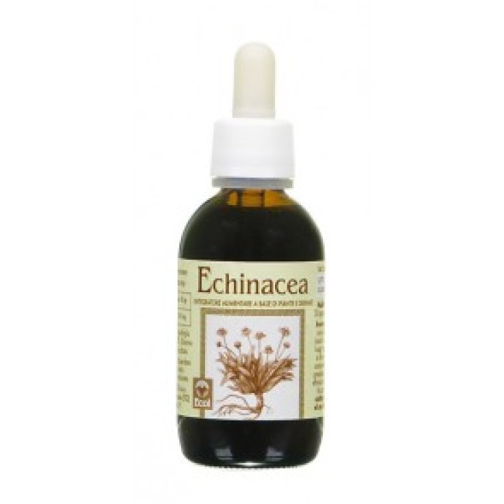 ECOL Echinacea Alkoholfreier Extrakt 50ml