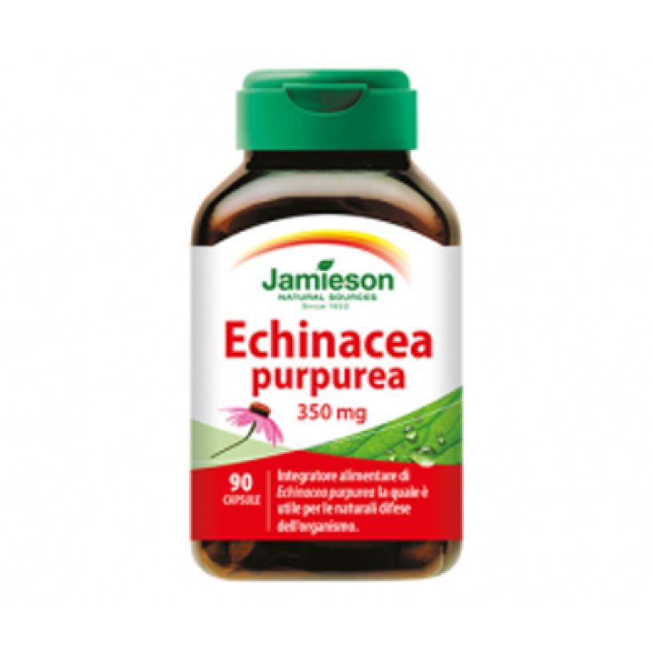 Jamieson Echinacea Purpurea Nahrungsergänzungsmittel 90 Kapseln
