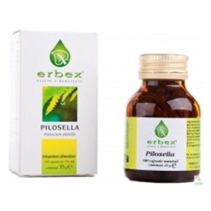 Erbex Pilosella Nahrungsergänzungsmittel 100 Kapseln 350mg