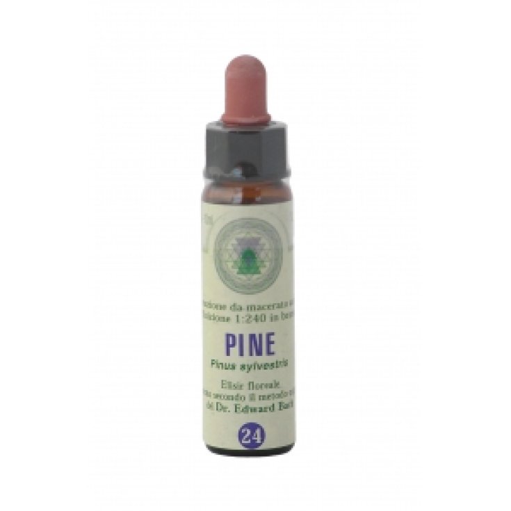 Princeps Bachblüten 24 Pinientropfen 10ml