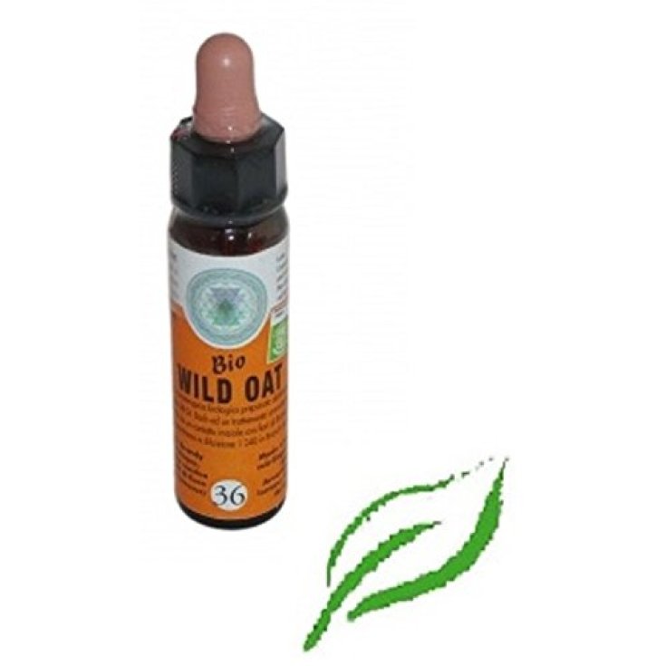 Princeps Bachblüten 36 Wildhafertropfen 10ml