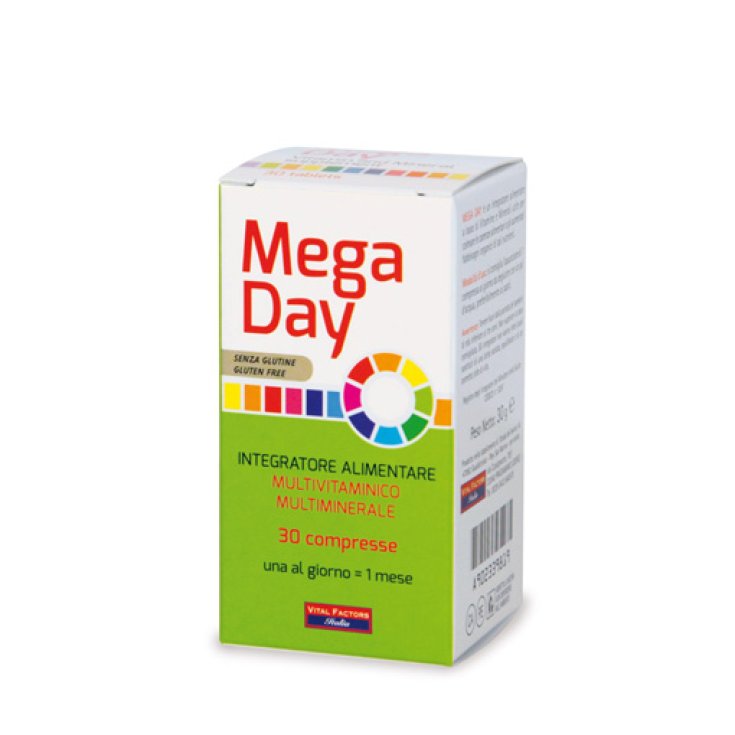 Farmaderbe Mega Day Nahrungsergänzungsmittel 30 Tabletten