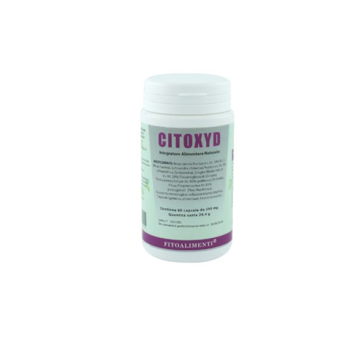 Euronatur Group Citoxyd Nahrungsergänzungsmittel 60 Kapseln