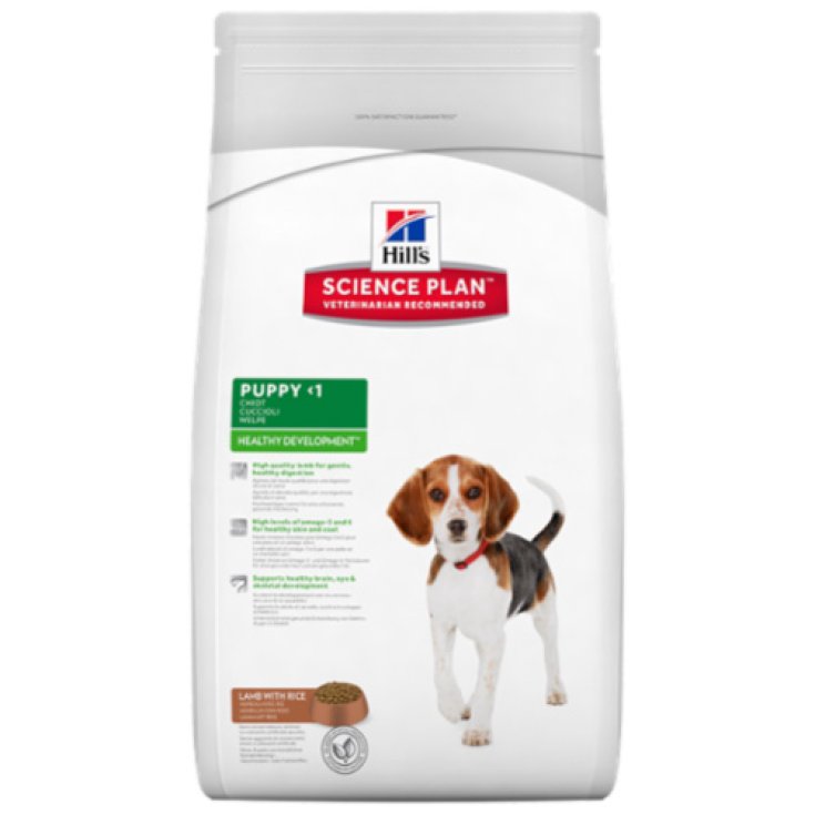 Hill's Science Plan Puppy Healthy Development Medium Size mit Lamm und Reis 3kg