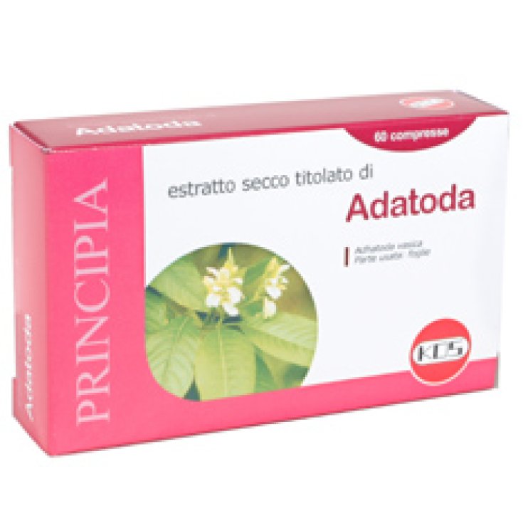 Kos Adhatoda Trockenextrakt 60 Tabletten von 22,2 g
