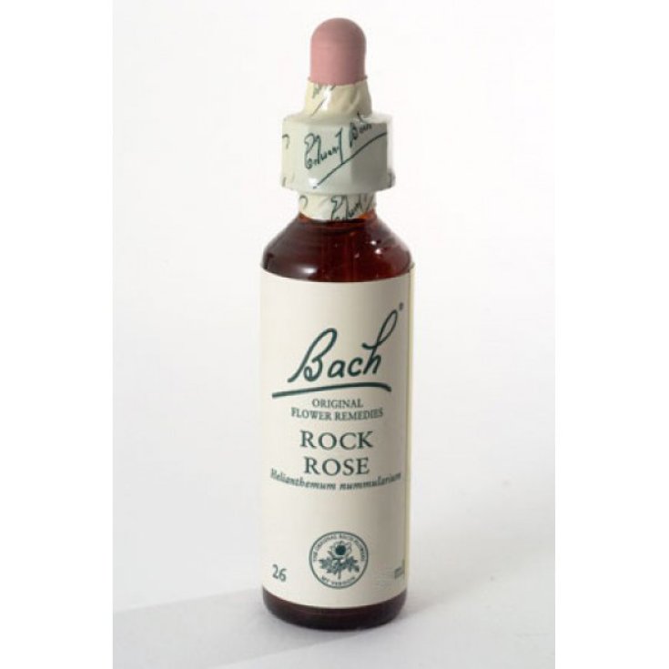 OTI Rock Water Bach Nahrungsergänzungsmittel 30ml