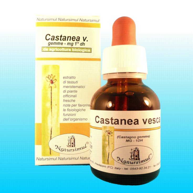 Natursimul Castanea Vesca Gemme 1DH Mg Nahrungsergänzungsmittel 50ml