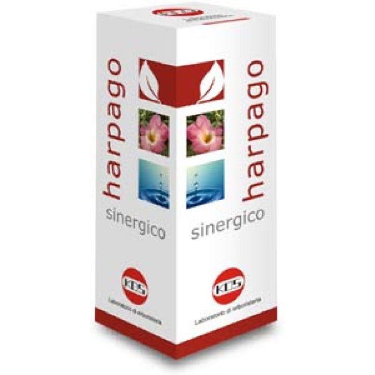 Kos Harpago Synergetische Tropfen 100ml