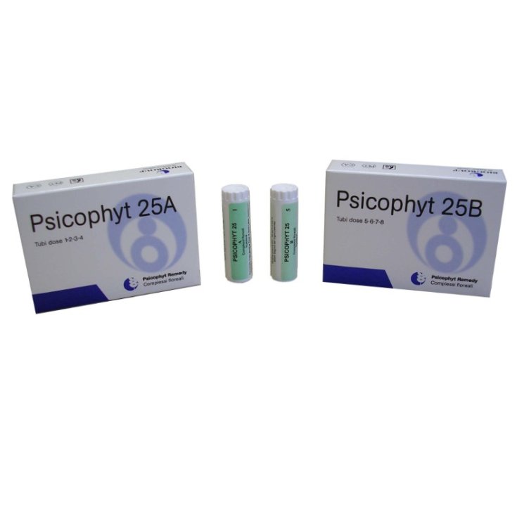 Biogroup Psicophyt Remedy 25A Granulat