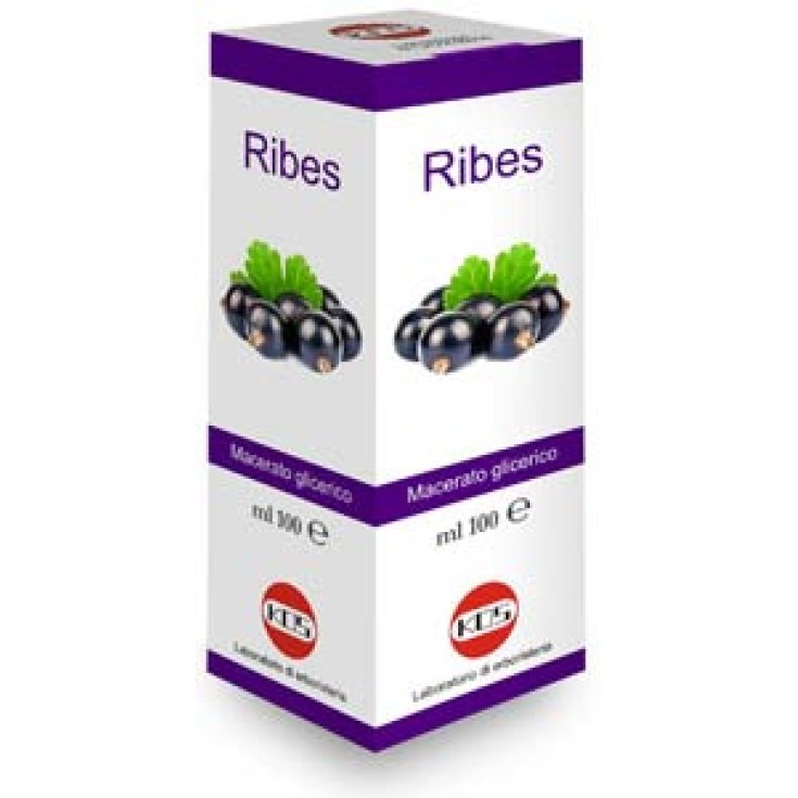 Kos Ribes Nigrum Mazerat Glyzerin Tropfen Nahrungsergänzungsmittel 100ml