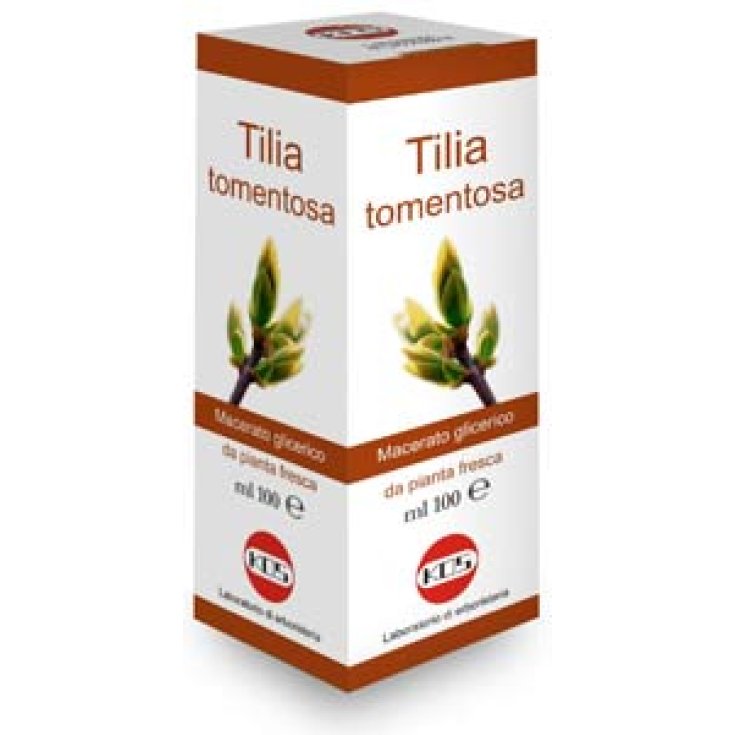 Kos Tilia Tomentosa Glyzerinmazerat 100ml