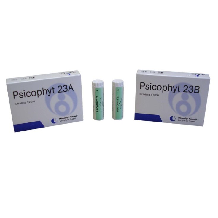 Biogroup Psicophyt Remedy 23b Granulat 5g